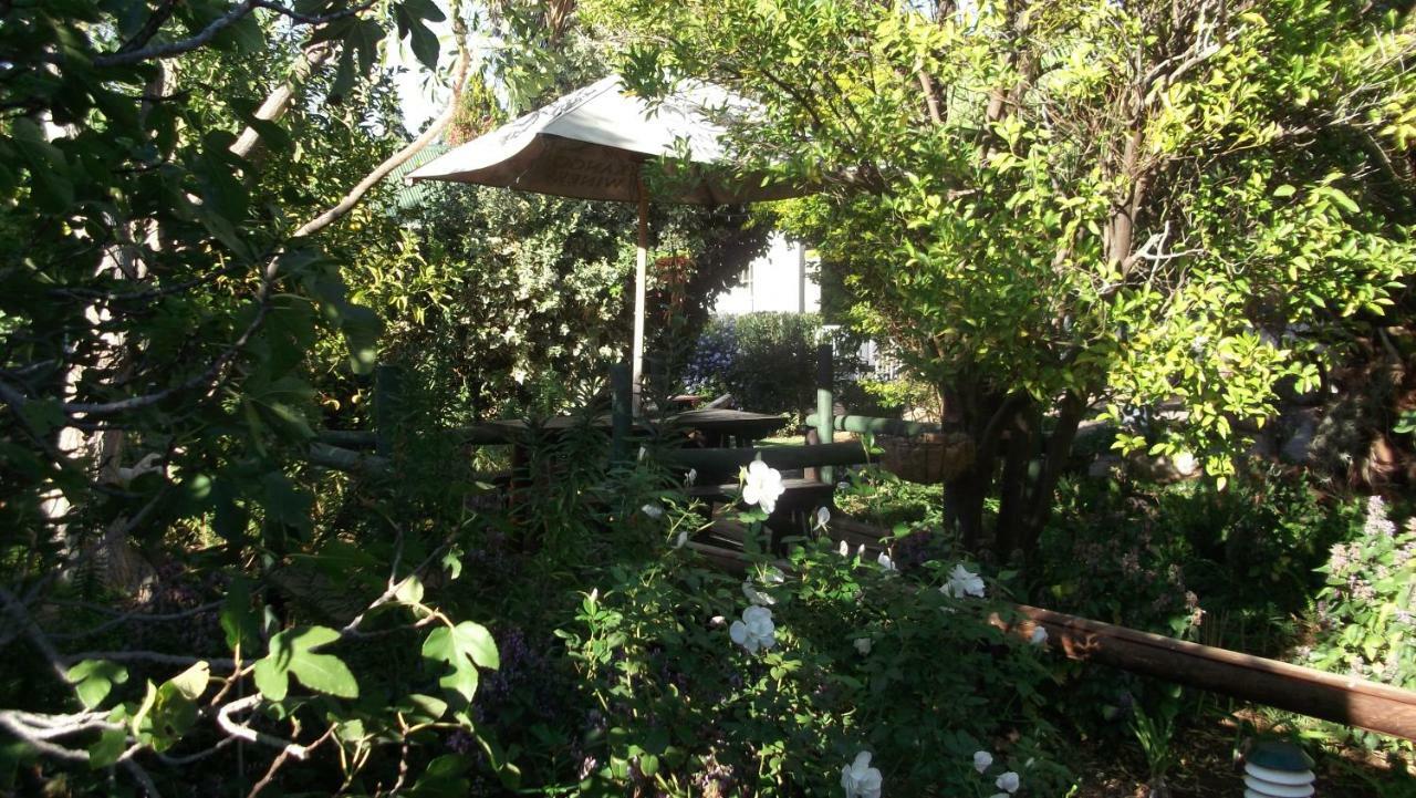 Housemartin Lodge & Self Catering De Rust Екстериор снимка